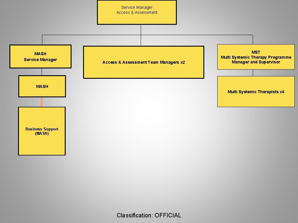 Service Manager Access & Assessment MASH Service Manager Access & Assessment Team Managers x