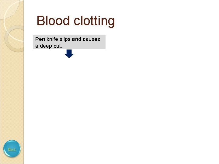Blood clotting Pen knife slips and causes a deep cut. 