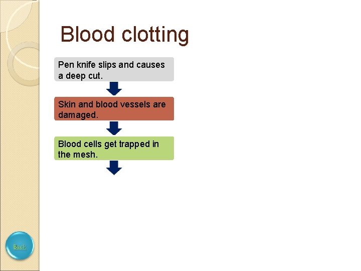 Blood clotting Pen knife slips and causes a deep cut. Skin and blood vessels
