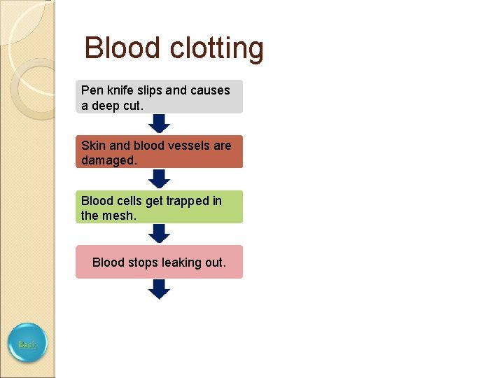 Blood clotting Pen knife slips and causes a deep cut. Skin and blood vessels