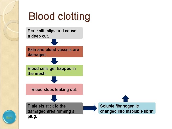 Blood clotting Pen knife slips and causes a deep cut. Skin and blood vessels