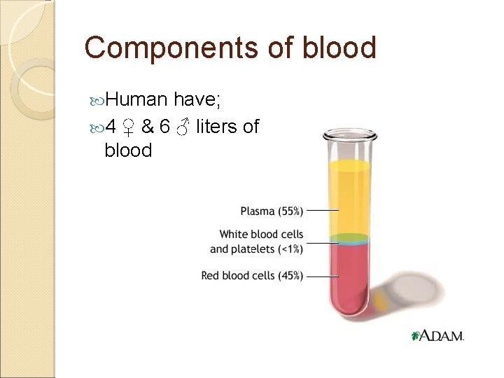 Components of blood Human have; 4 ♀ & 6 ♂ liters of blood 