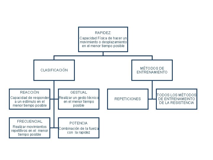 RAPIDEZ: Capacidad Física de hacer un movimiento o desplazamiento en el menor tiempo posible