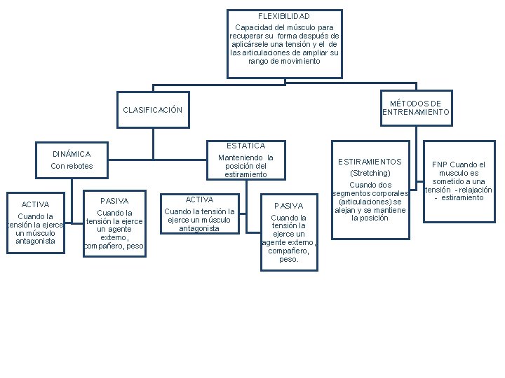 FLEXIBILIDAD Capacidad del músculo para recuperar su forma después de aplicársele una tensión y