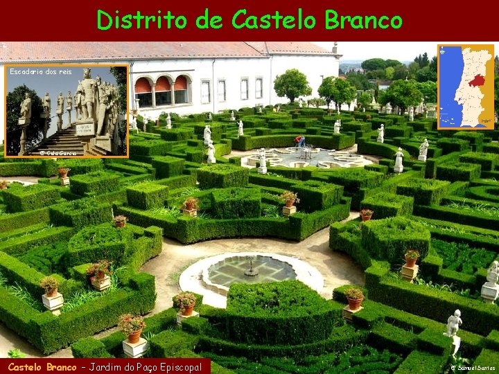 Distrito de Castelo Branco Escadaria dos reis @ Cida Garcia Castelo Branco – Jardim