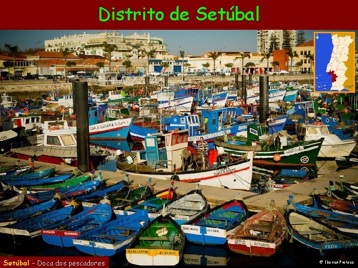 Distrito de Setúbal – Doca dos pescadores @ Iberian Proteus 