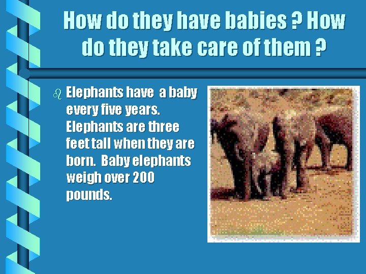 How do they have babies ? How do they take care of them ?