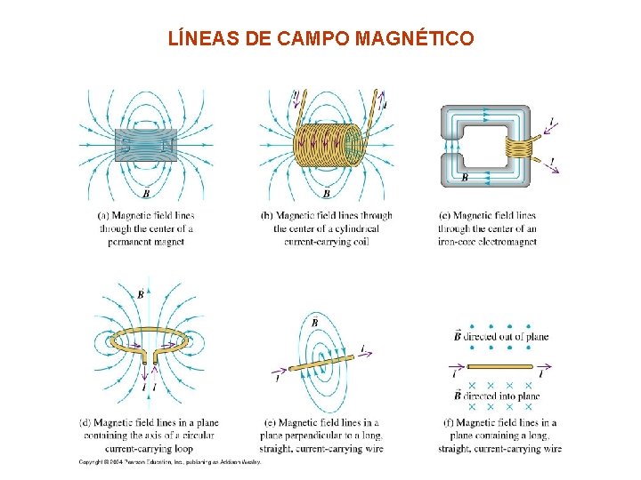 LÍNEAS DE CAMPO MAGNÉTICO 