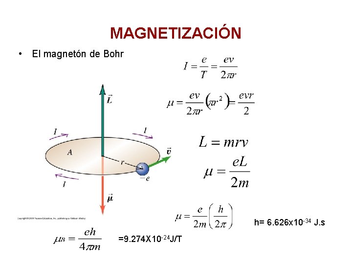 MAGNETIZACIÓN • El magnetón de Bohr h= 6. 626 x 10 -34 J. s
