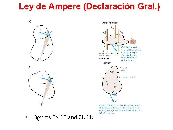 Ley de Ampere (Declaración Gral. ) • Figuras 28. 17 and 28. 18 