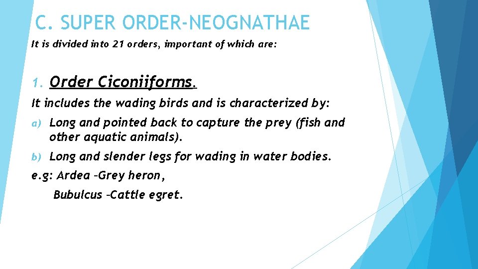 C. SUPER ORDER-NEOGNATHAE It is divided into 21 orders, important of which are: 1.