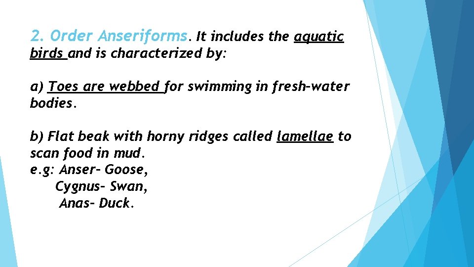 2. Order Anseriforms. It includes the aquatic birds and is characterized by: a) Toes