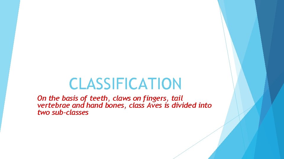 CLASSIFICATION On the basis of teeth, claws on fingers, tail vertebrae and hand bones,