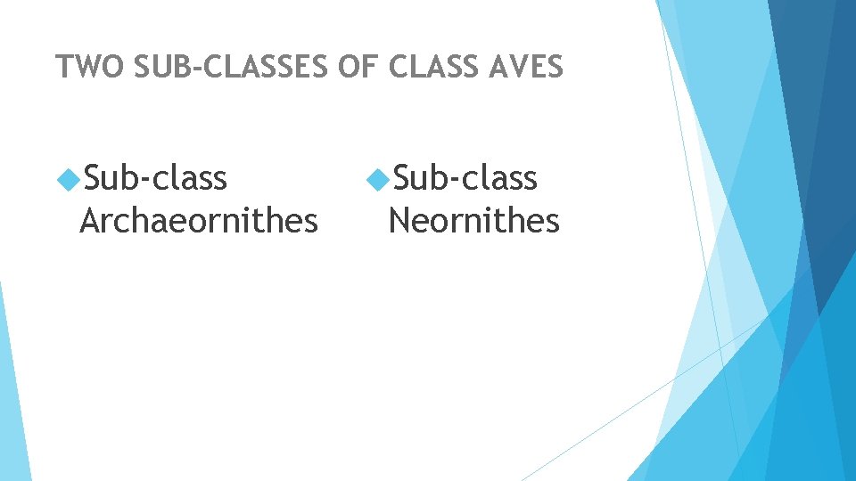 TWO SUB-CLASSES OF CLASS AVES Sub-class Archaeornithes Sub-class Neornithes 