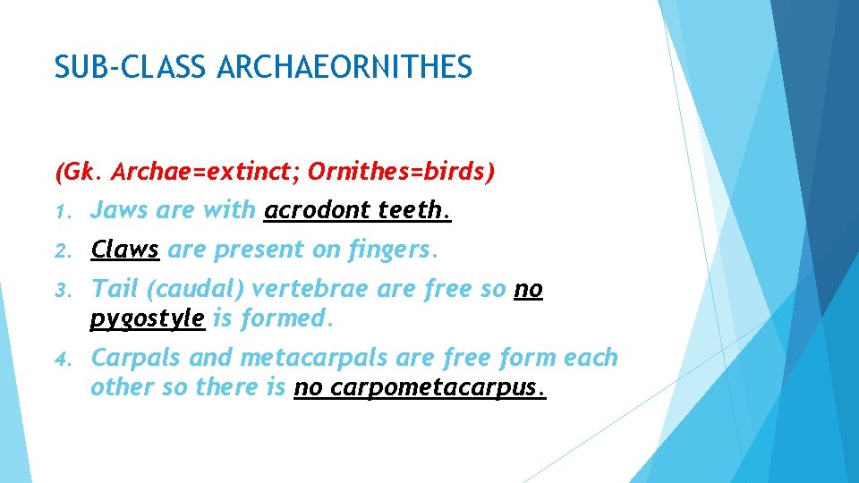 SUB-CLASS ARCHAEORNITHES (Gk. Archae=extinct; Ornithes=birds) 1. Jaws are with acrodont teeth. 2. Claws are