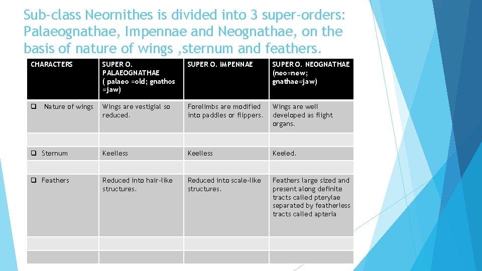 Sub-class Neornithes is divided into 3 super-orders: Palaeognathae, Impennae and Neognathae, on the basis