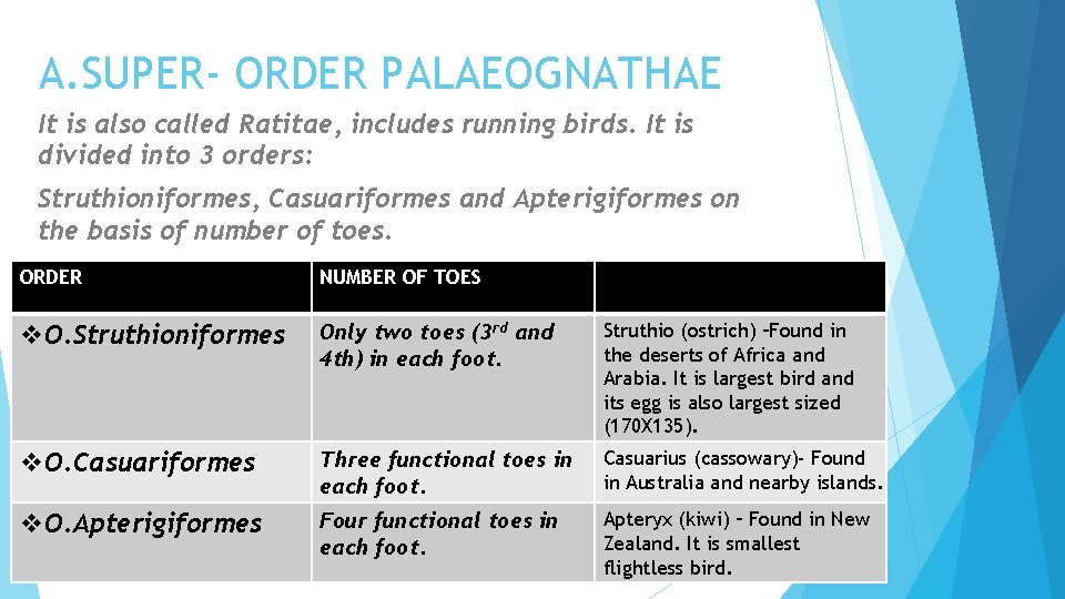 A. SUPER- ORDER PALAEOGNATHAE It is also called Ratitae, includes running birds. It is
