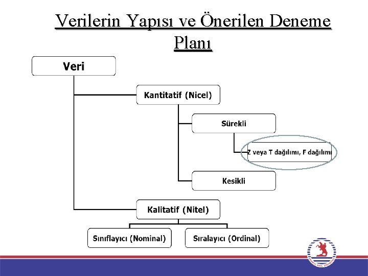 Verilerin Yapısı ve Önerilen Deneme Planı 