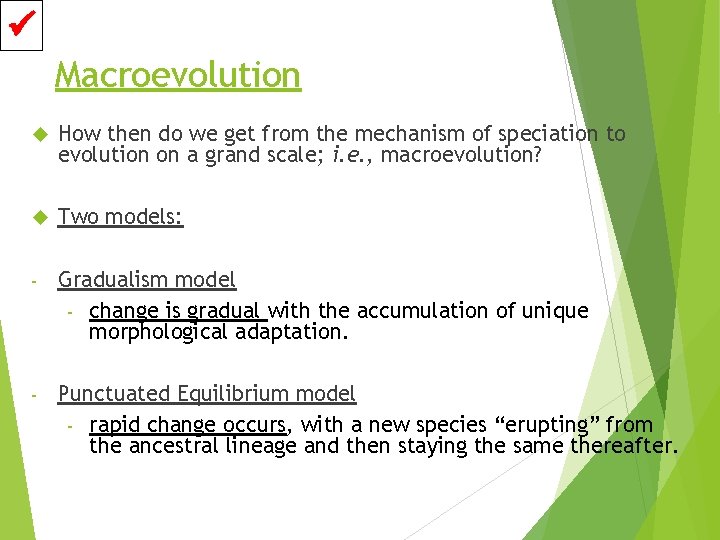  Macroevolution How then do we get from the mechanism of speciation to evolution