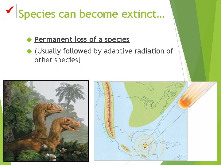  Species can become extinct… Permanent loss of a species (Usually followed by adaptive