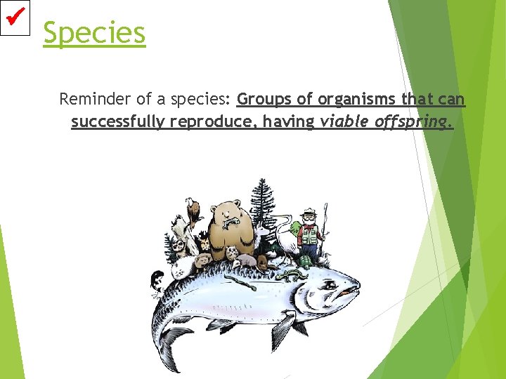  Species Reminder of a species: Groups of organisms that can successfully reproduce, having