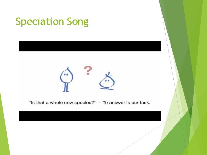 Speciation Song 