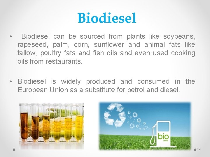 Biodiesel • Biodiesel can be sourced from plants like soybeans, rapeseed, palm, corn, sunflower