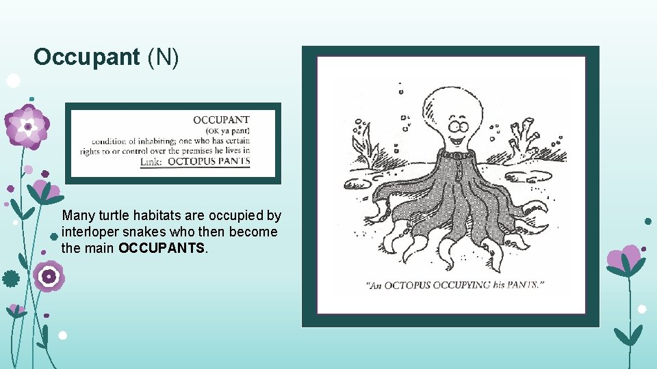 Occupant (N) Many turtle habitats are occupied by interloper snakes who then become the
