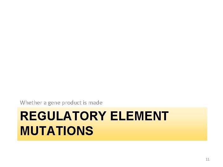 Whether a gene product is made REGULATORY ELEMENT MUTATIONS 11 