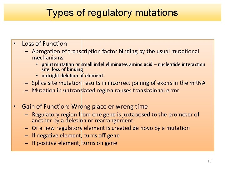 Types of regulatory mutations • Loss of Function – Abrogation of transcription factor binding
