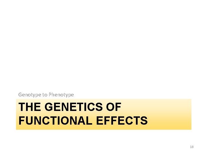 Genotype to Phenotype THE GENETICS OF FUNCTIONAL EFFECTS 18 