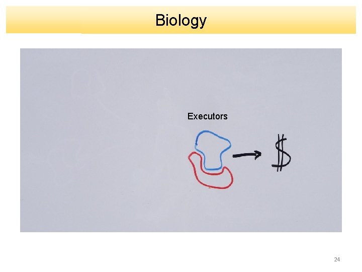 Biology Executors 24 