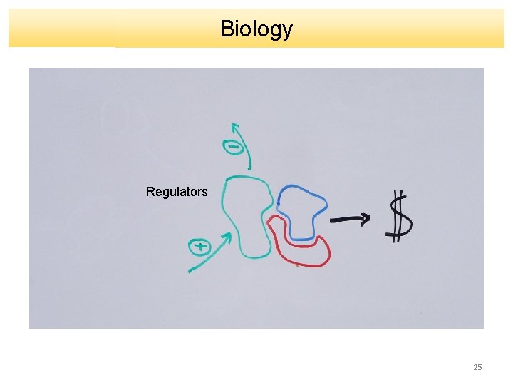 Biology Regulators 25 