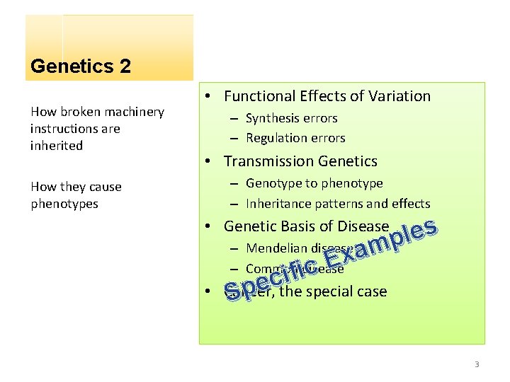 Genetics 2 How broken machinery instructions are inherited • Functional Effects of Variation –