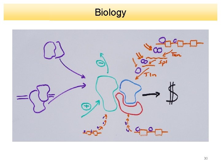 Biology 30 