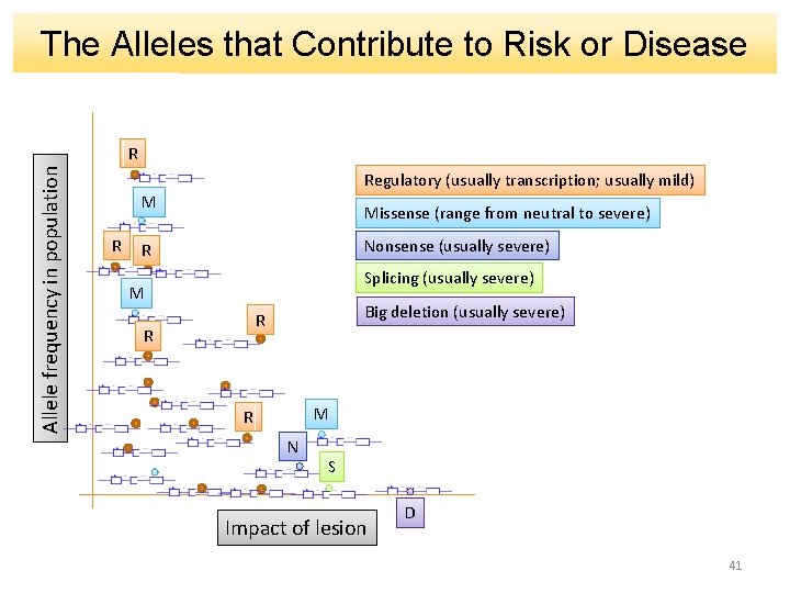 The Alleles that Contribute to Risk or Disease Allele frequency in population R Regulatory