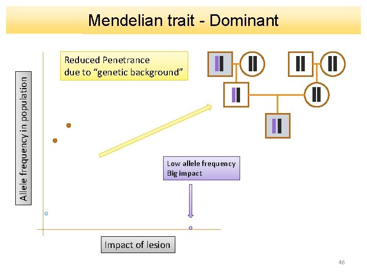 Allele frequency in population Mendelian trait - Dominant Reduced Penetrance due to “genetic background”