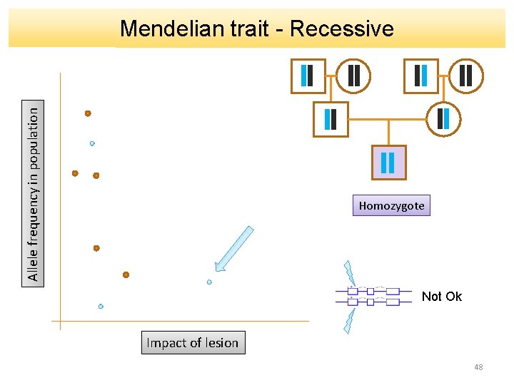 Allele frequency in population Mendelian trait - Recessive Homozygote Not Ok Impact of lesion