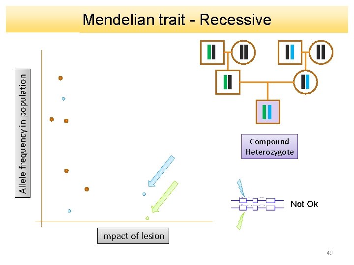 Allele frequency in population Mendelian trait - Recessive Compound Heterozygote Not Ok Impact of