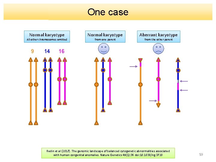 One case Normal karyotype All other chromosomes omitted 9 14 Normal karyotype from one