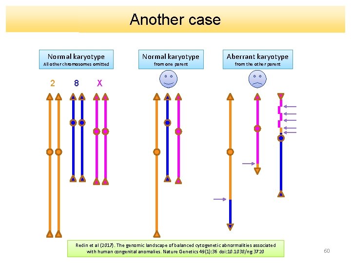 Another case Normal karyotype All other chromosomes omitted 2 8 Normal karyotype from one