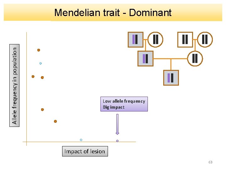 Allele frequency in population Mendelian trait - Dominant Low allele frequency Big impact Impact