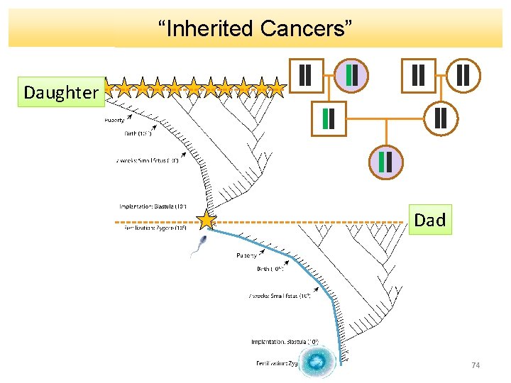 “Inherited Cancers” Daughter Dad 74 