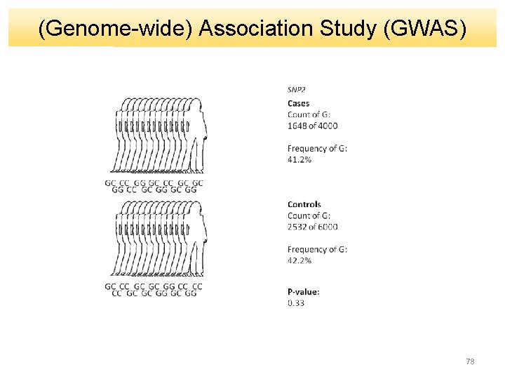 (Genome-wide) Association Study (GWAS) 78 