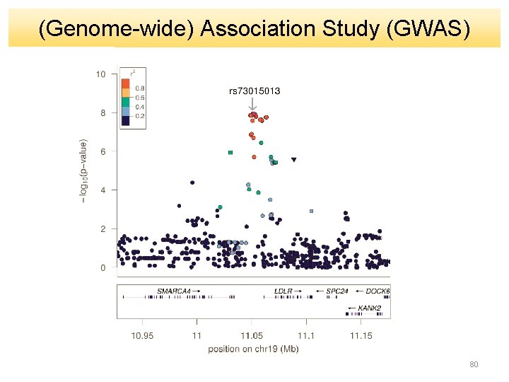 (Genome-wide) Association Study (GWAS) 80 