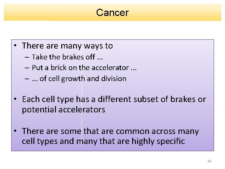 Cancer • There are many ways to – Take the brakes off. . .