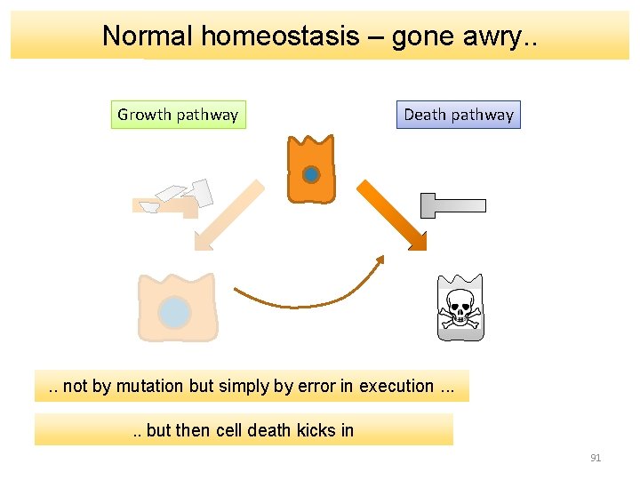 Normal homeostasis – gone awry. . Growth pathway Death pathway . . not by