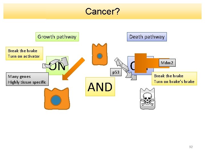 Cancer? Growth pathway Break the brake Turn on activator Many genes Highly tissue specific