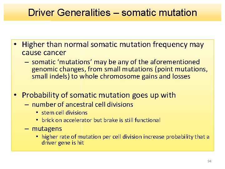 Driver Generalities – somatic mutation • Higher than normal somatic mutation frequency may cause