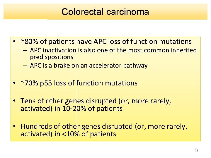 Colorectal carcinoma • ~80% of patients have APC loss of function mutations – APC